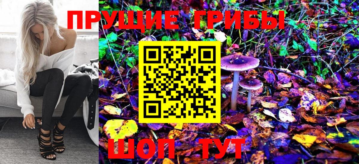 Галлюциногенные грибы MAGIC MUSHROOMS  Вход с VPN  Калач-на-Дону 