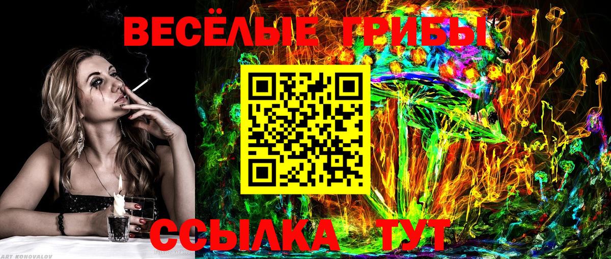 Псилоцибиновые грибы ЛСД Калач-на-Дону